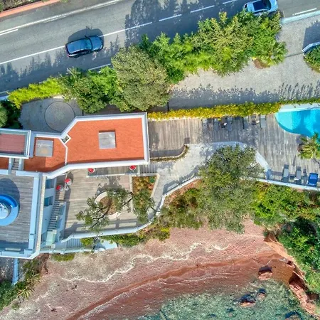 Ref Anthea - Palmes D'or *