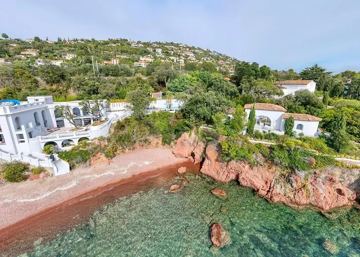 Ref Anthea - Palmes D'or *