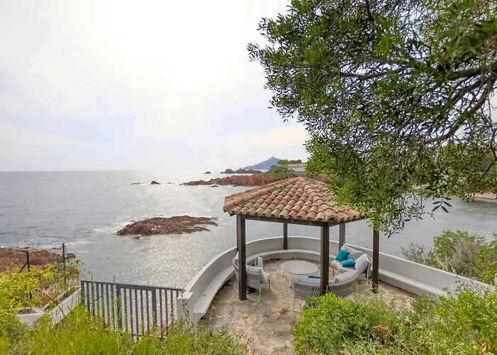 Ref Anthea - Palmes D'or