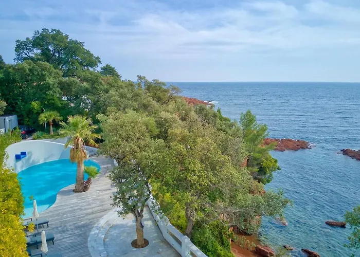 Ref Anthea - Palmes D'or