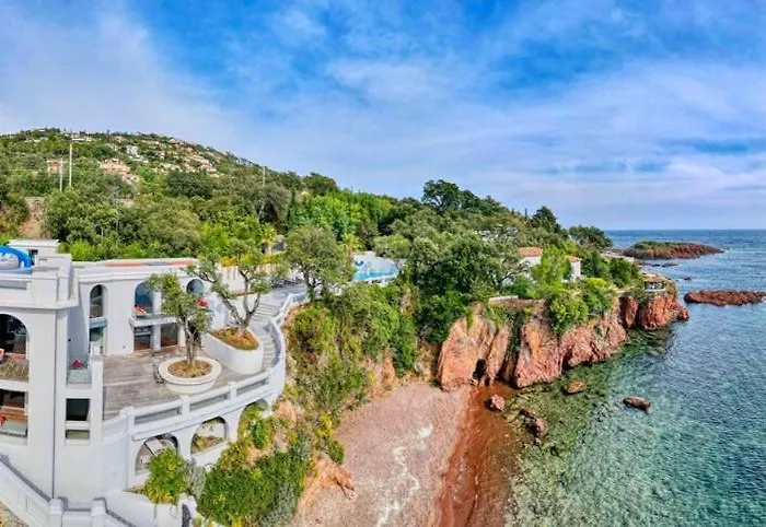 Ref Anthea - Palmes D'or *