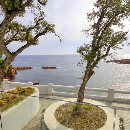 Ref Anthea - Palmes D'or