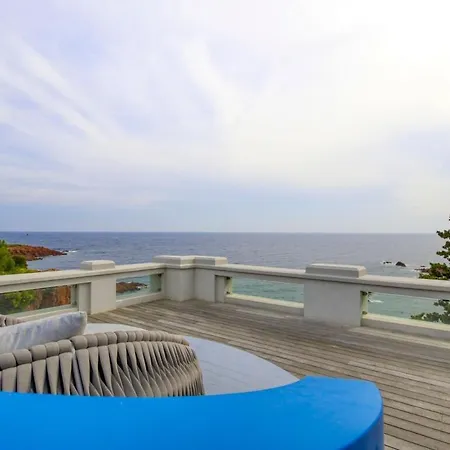 Ref Anthea - Palmes D'or