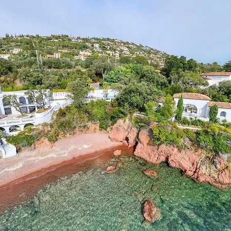 Ref Anthea - Palmes D'or *