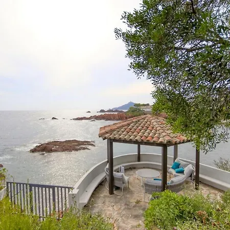 Ref Anthea - Palmes D'or