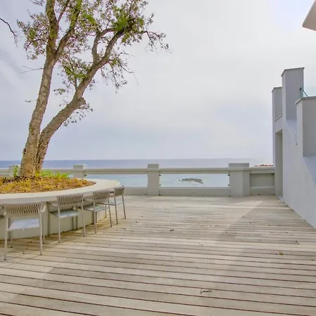 Ref Anthea - Palmes D'or *