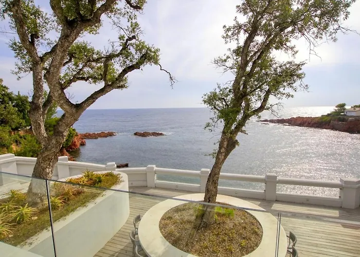 Ref Anthea - Palmes D'or