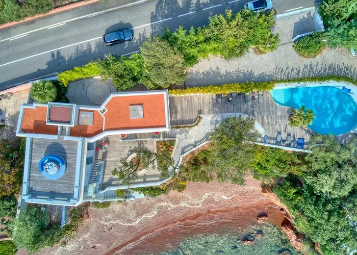 Ref Anthea - Palmes D'or *